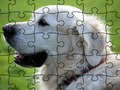 Igra Jigsaw Puzzle Domaće životinje  online