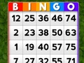 Igra Bingo online