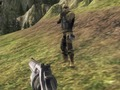 Igra Ludi Commando  online