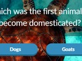 Igra Zanimljivosti životinja  online