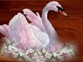 Igra Ljubav ptica puzzle  online