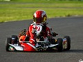 Igra Karton online