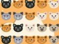 Igra Slatka Kitty utakmica 3  online