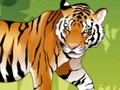 Igra Boja ljutog tigra  online