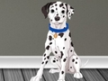 Igra Bijeg liječnika veterinara 2  online