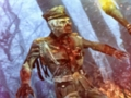 Igra Zombie Hunter Heroj  online
