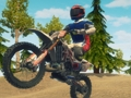 Igra Dirt Bike Enduro Racing online