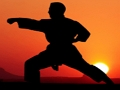 Igra Karate Sunset Warriors online