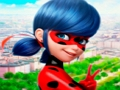 Igra Zbirka slagalica LadyBug  online