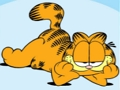 Igra Zbirka slagalica Garfield  online