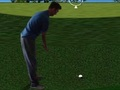 Igra Flash Golf 3D  online