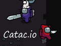 Igra Catac. io  online