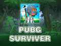 Igra PUBG Survivor  online