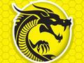 Igra Kung Fu Furija  online