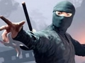 Igra Dodirnite Ninja  online
