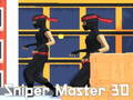 Igra Snajperski majstor 3d online