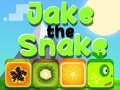 Igra Jake Zmija  online