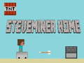 Igra Steveminer Home online