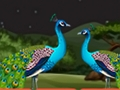 Igra Parrot Parrot Escape  online