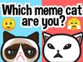 Igra Koja si ti Meme mačka?  online