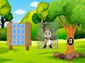 Igra Spasite Panda Explorer  online