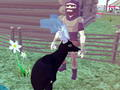 Igra Simulator jelena 3D  online