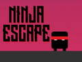 Igra Ninja bijeg  online
