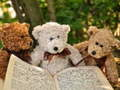 Igra Lukavo tri teddy jigsaw online