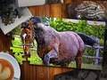 Igra Jigsaw Puzzle Horses Edition online