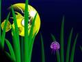 Igra Flash Fish Freddie online