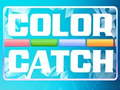 Igra Boja Catch  online
