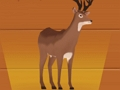 Igra Deeeer simulator online