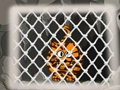 Igra Bijeg tigra 1  online