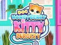 Igra Doc HoneyBerry Kitty kirurgija  online