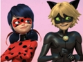 Igra Miraculous Ladybug & Cat Noir slagalica  online