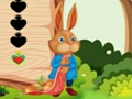 Igra Vjeverica Escape  online