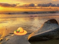 Igra Bijeg sa Sunset Beacha  online
