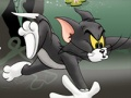 Igra Tom i Jerry Chase u močvaru  online