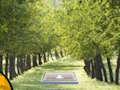 Igra Par Cat Escape  online