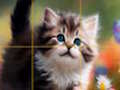 Igra Puzzle Klizni mačići  online