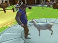 Igra Simulator lude koze  online