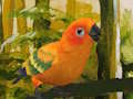 Igra Slatka puzzle budgie  online