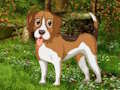Igra Cvjetnjak Dog Escape  online