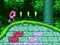 Igra Mighty & Ray u Sonic 2  online