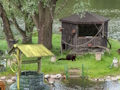 Igra Mystery Lake Escape online