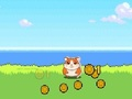 Igra Hamster Kombat kliker  online