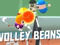 Igra Volley Grah  online
