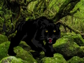 Igra Pobjeći iz šume Black Panther  online