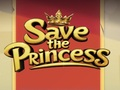 Igra Spasi princezu  online