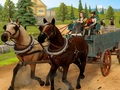 Igra Simulator jahanja  online